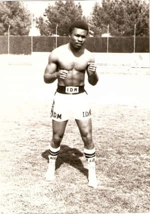 Boxer Ready Stance Vintage Photo Wallpaper