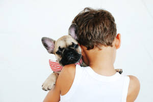Boy Hugging Pet Dog Wallpaper