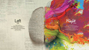 Brain Typography Artwork Wallpaper