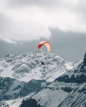 Brave Paraglider Wallpaper