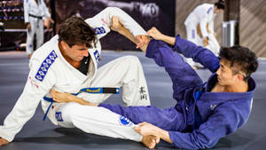 Brazilian Jiu-jitsu Grappling Fight Wallpaper