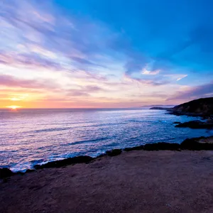 Breathtaking View Of A Lush Tropical Forest Wallpaper