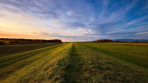 Breathtaking View Of Open Grassland At Sunrise Wallpaper