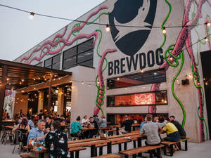 Brewdog Dogtap Brisbane Wallpaper