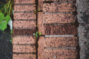 Brick Outdoor Pavement Wallpaper