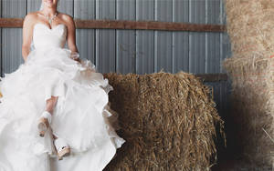 Bride In A Barn Wallpaper