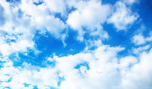 Bright Blue Funeral Clouds Wallpaper