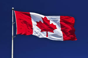 Bright Canada Flag Wallpaper