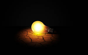 Bright Idea - Incandescent Light Bulb Wallpaper