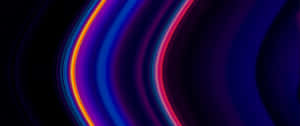 Bright Neon Theme Sprays Out Of The Darkness Wallpaper