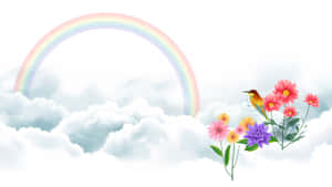 Brighten Up The Day With A Cute Rainbow Wallpaper
