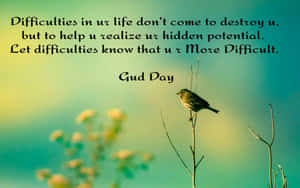 Brighten Up Your Day With A Positive Message Wallpaper