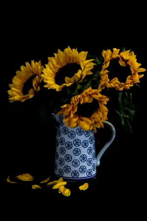 Brighten Your Day With A Dark Sunflower Wallpaper