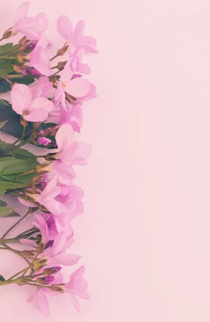 Bring The Beauty Of Nature And Technology Together Wallpaper