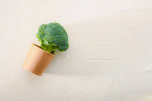 Broccoli Flower On Vase Wallpaper