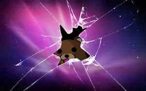 Broken Screen Galaxy Bear Wallpaper