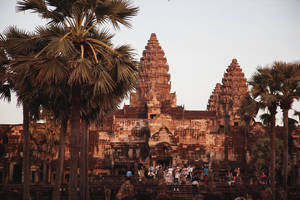 Brown Aesthetic Angkor Wat Surrounded By Trees Wallpaper