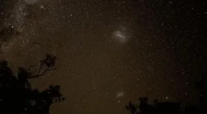 Brown Galaxy Live Wallpaper