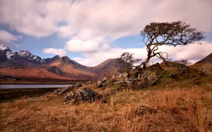 Brown Mountain Wallpaper