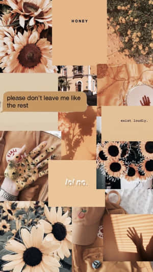 Brown Pastel Aesthetic Flowers And Quotes Collage Wallpaper