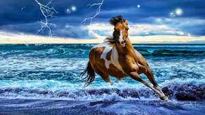 Brown Running Horse With White Markings Wallpaper
