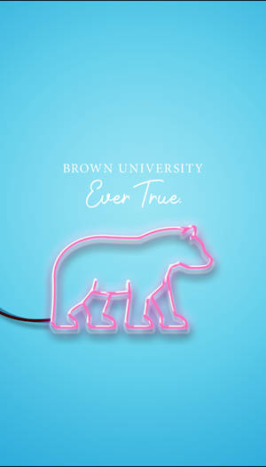 Brown University Neon Pink Phone Graphic Wallpaper