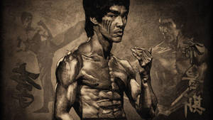 Bruce Lee Wallpaper 8 - Wallpaper