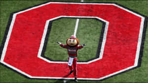 Brutus Buckeye Ohio State Football Team Mascot Wallpaper