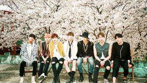 Bts Soak In The Beauty Of Cherry Blossoms Wallpaper