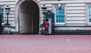 Buckingham Palace Guard Wallpaper