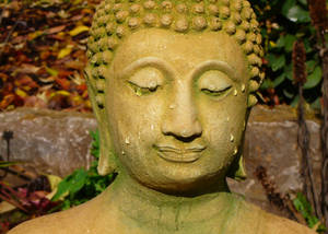 Buddha Hd Close-up Wallpaper