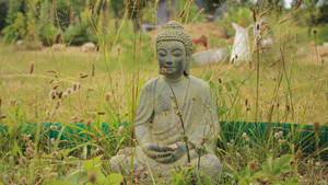 Buddha's Meditation In A Vast Field Wallpaper