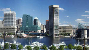 Buildings In Baltimore On A Sunny Day Wallpaper