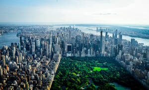 Buildings Surrounding Central Park Greenery Wallpaper