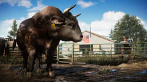 Bull Far Cry 5 4k Wallpaper