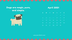 Bulldog April Calendar 2021 Wallpaper