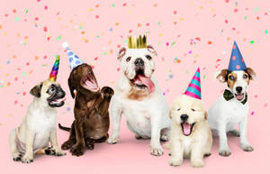 Bulldog With Friends Party Background Wallpaper