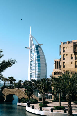 Burj Al Arab And Pine Trees Wallpaper