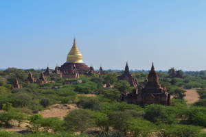 Burma Dhammayazika Pagoda Wallpaper