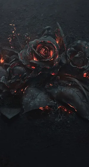 Burning Black Rose Aesthetic Wallpaper