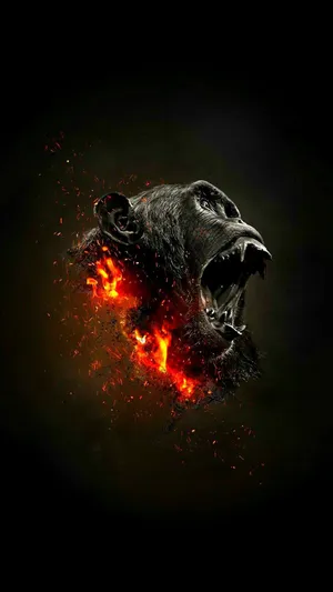 Burning Head Gorilla Iphone Wallpaper
