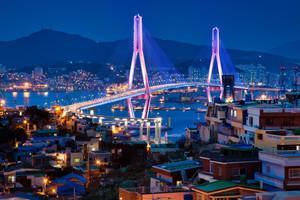 Busan Harbor Bridge At Night Wallpaper