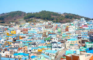 Busan Residential Area Wallpaper