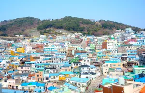 Busan Residential Area Wallpaper