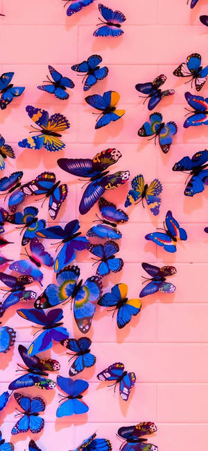 Butterflies On Pink Wall Wallpaper