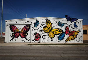 Butterflies Wall Art Wallpaper