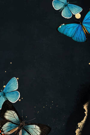 Butterfly Aesthetic Blue Wings Wallpaper
