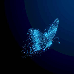 Butterfly Beginning Wallpaper