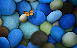 Butterfly Desktop HD Wallpapers (100++) - MrWallpaper.com