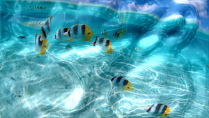 Butterflyfish School Underwater Screen Saver Wallpaper